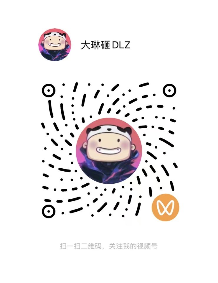 视频号二维码 大琳砸 DLZ